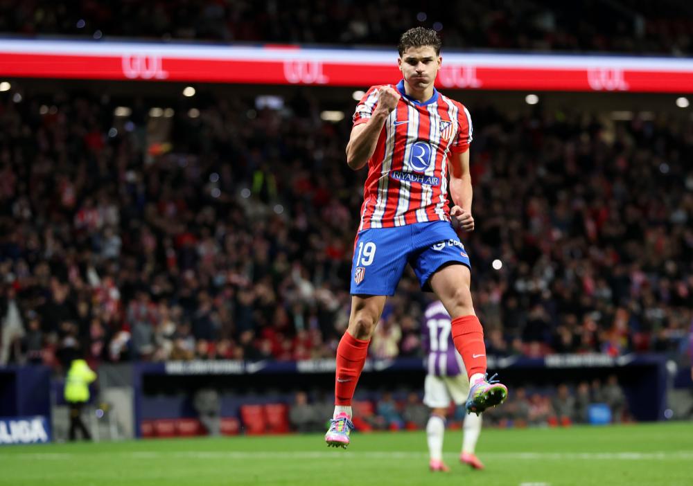 林的密林 林的密林