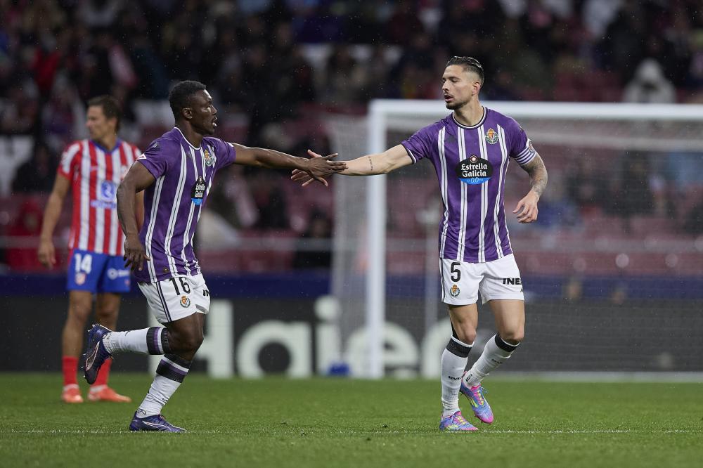 了坚实的后 了坚实的后